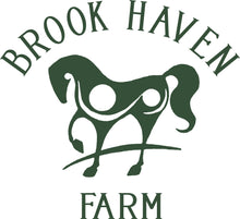 Brookhaven Farm - Ladies Button down Shirt - L608